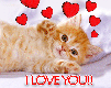 ***Ze t'aime***